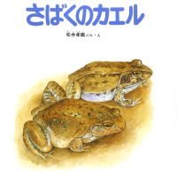 絵本「さばくのカエル」の表紙（サムネイル）