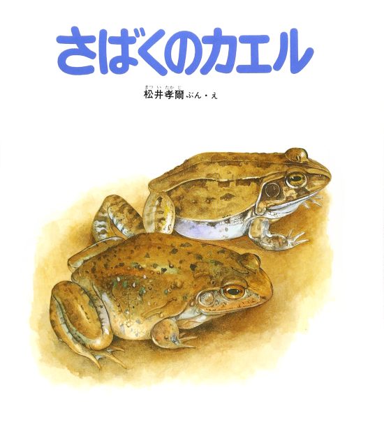 絵本「さばくのカエル」の表紙（中サイズ）