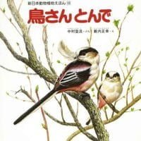 絵本「鳥さんとんで」の表紙（サムネイル）