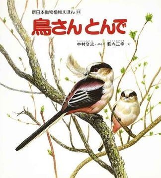 絵本「鳥さんとんで」の表紙（詳細確認用）（中サイズ）