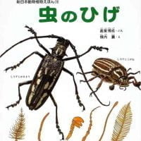 絵本「虫のひげ」の表紙（サムネイル）