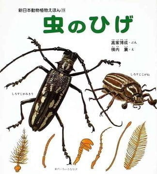 絵本「虫のひげ」の表紙（詳細確認用）（中サイズ）