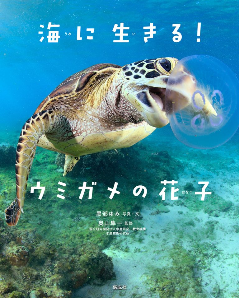 絵本「海に生きる！ ウミガメの花子」の表紙