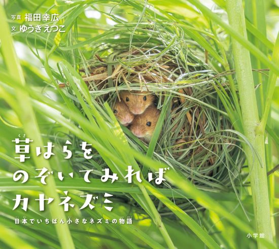 絵本「草はらをのぞいてみればカヤネズミ」の表紙（中サイズ）