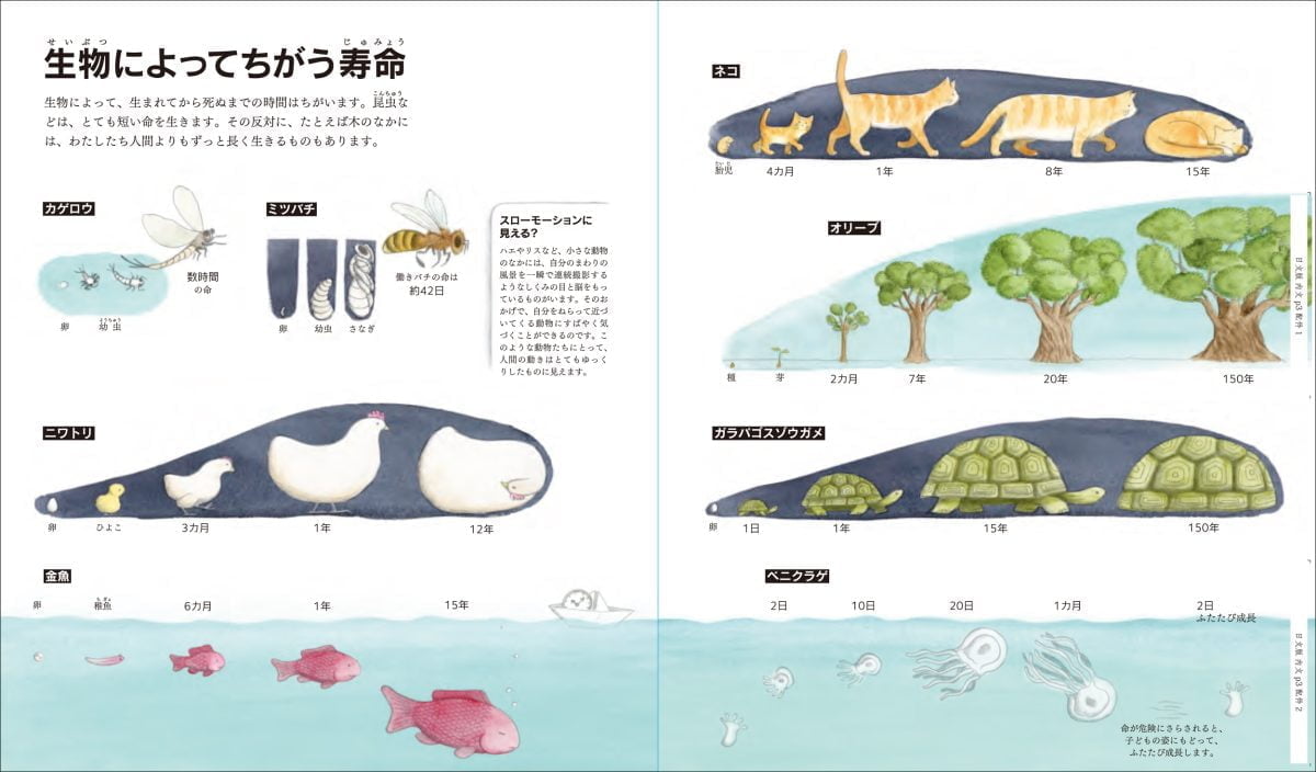 絵本「時間のしくみを科学する」の一コマ2