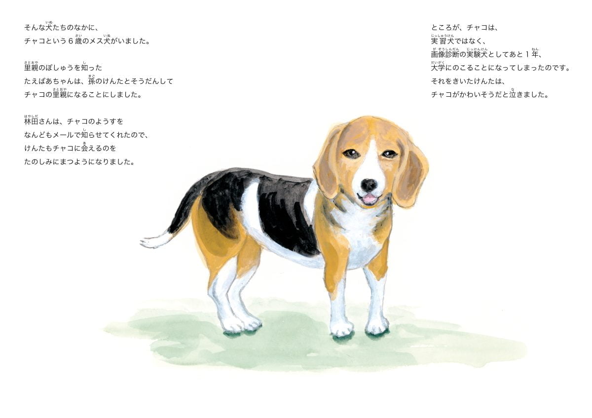 絵本「チャコという犬がいた」の一コマ5