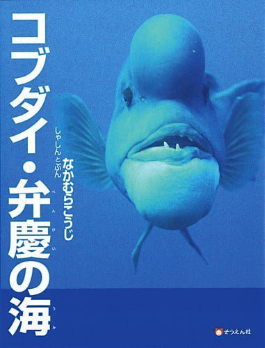 絵本「コブダイ・弁慶の海」の表紙（詳細確認用）（中サイズ）