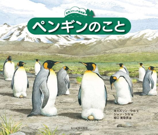 絵本「ペンギンのこと」の表紙（全体把握用）（中サイズ）