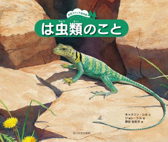 絵本「は虫類のこと」の表紙（全体把握用）（中サイズ）