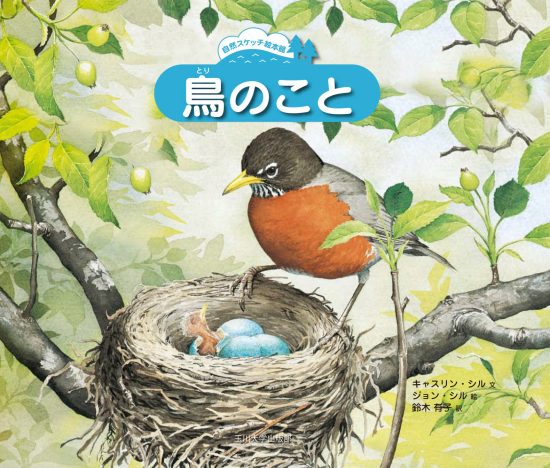 絵本「鳥のこと」の表紙（全体把握用）（中サイズ）