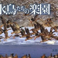 絵本「水鳥たちの楽園」の表紙（サムネイル）