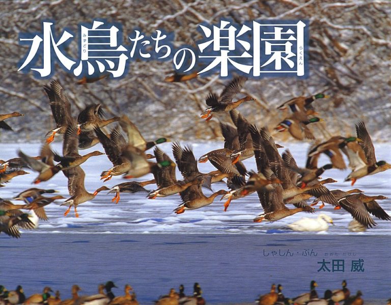 絵本「水鳥たちの楽園」の表紙（詳細確認用）（中サイズ）