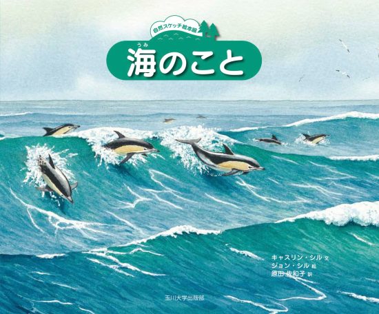 絵本「海のこと」の表紙（全体把握用）（中サイズ）