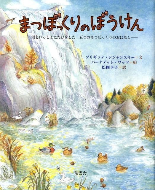 絵本「まつぼっくりのぼうけん」の表紙（詳細確認用）（中サイズ）