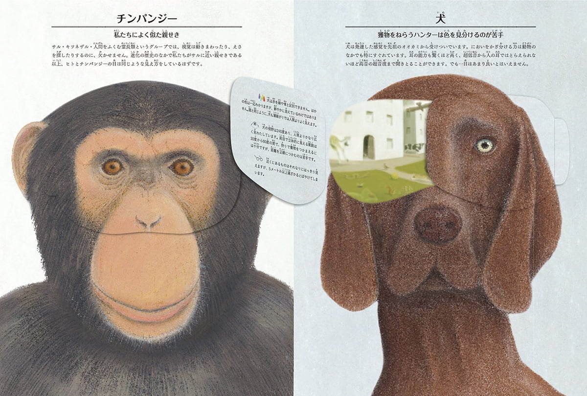 絵本「仕掛絵本図鑑 動物の見ている世界」の一コマ2