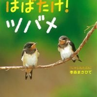 絵本「はばたけ！ツバメ」の表紙（サムネイル）