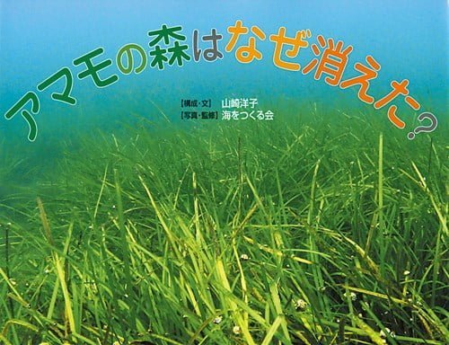 絵本「アマモの森はなぜ消えた？」の表紙（詳細確認用）（中サイズ）