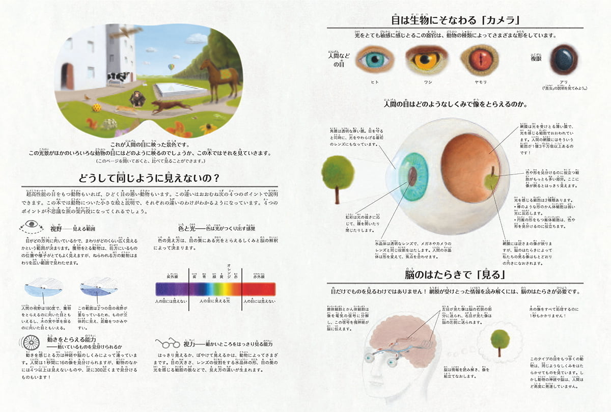 絵本「仕掛絵本図鑑 動物の見ている世界」の一コマ