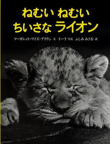 絵本「ねむい ねむい ちいさな ライオン」の表紙（詳細確認用）（中サイズ）