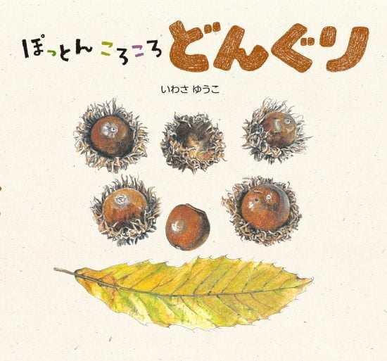 絵本「ぽっとん ころころ どんぐり」の表紙（全体把握用）（中サイズ）