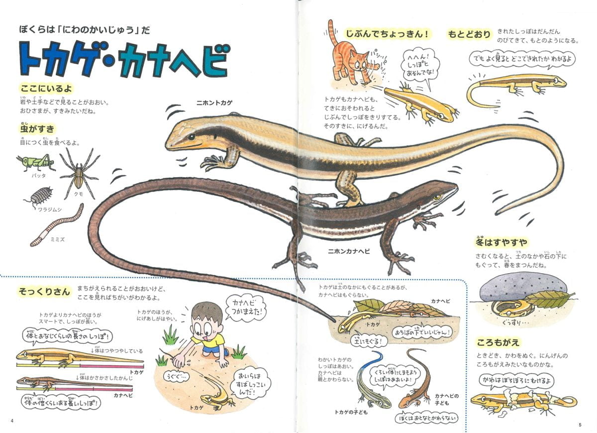 絵本「みつけた！ りくのいきもの」の一コマ