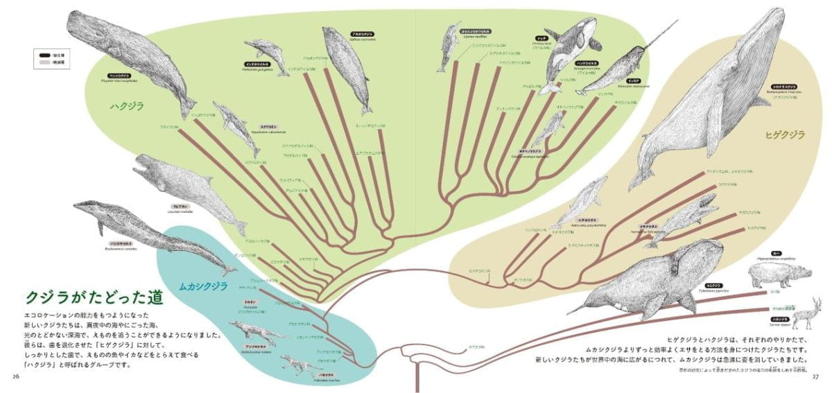 絵本「クジラの進化」の一コマ5