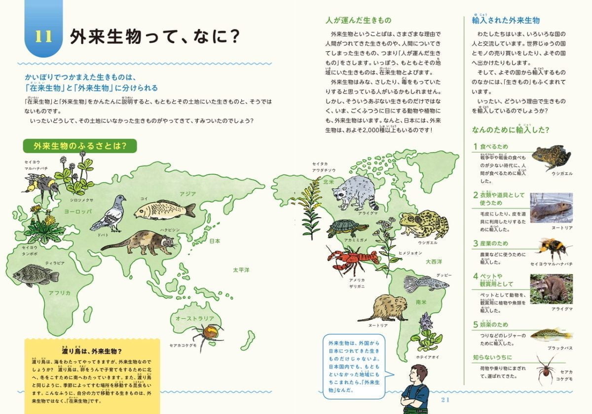 絵本「池の水をぬいた！ ため池の外来生物がわかる本」の一コマ2