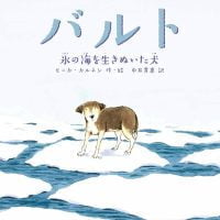 絵本「バルト 氷の海を生きぬいた犬」の表紙（サムネイル）