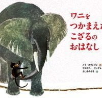 絵本「ワニをつかまえたこざるのおはなし」の表紙（サムネイル）