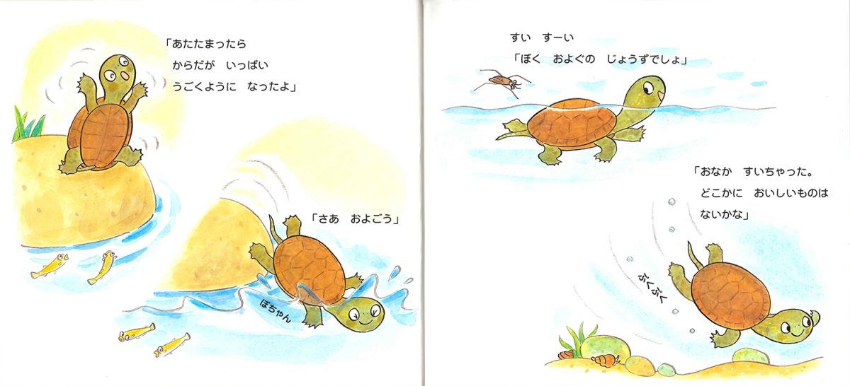 絵本「かめのこうちゃん」の一コマ2