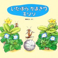 絵本「いたずら かまきり キリリ」の表紙（サムネイル）