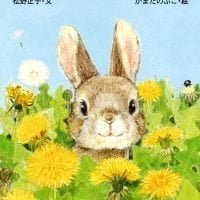 絵本「こうさぎけんたのへんそう」の表紙