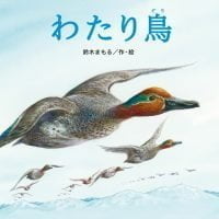 絵本「わたり鳥」の表紙（サムネイル）