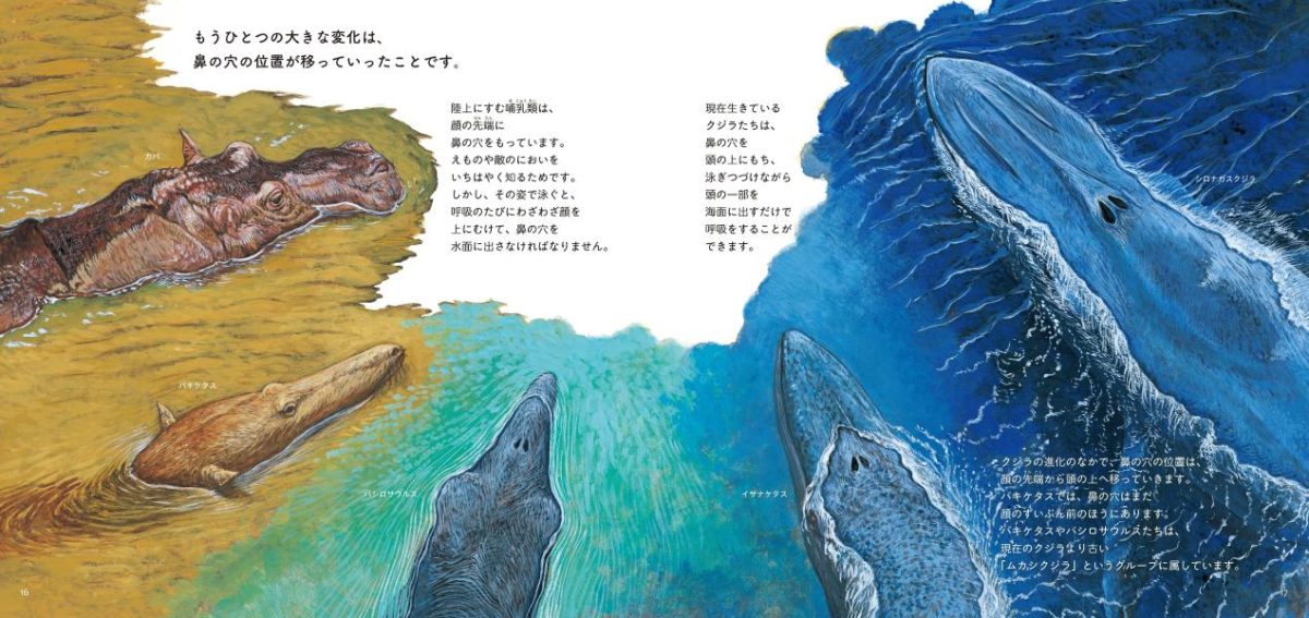 絵本「クジラの進化」の一コマ3