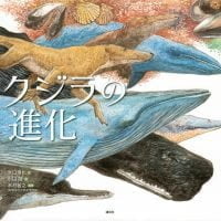 絵本「クジラの進化」の表紙