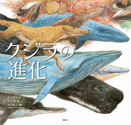 絵本「クジラの進化」の表紙（全体把握用）（中サイズ）