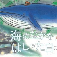 絵本「海のなかをはしった日」の表紙（サムネイル）