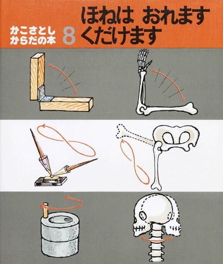 絵本「ほねはおれますくだけます」の表紙（詳細確認用）（中サイズ）