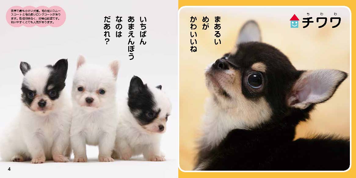 絵本「なかよし写真えほん かわいいこいぬ」の一コマ2