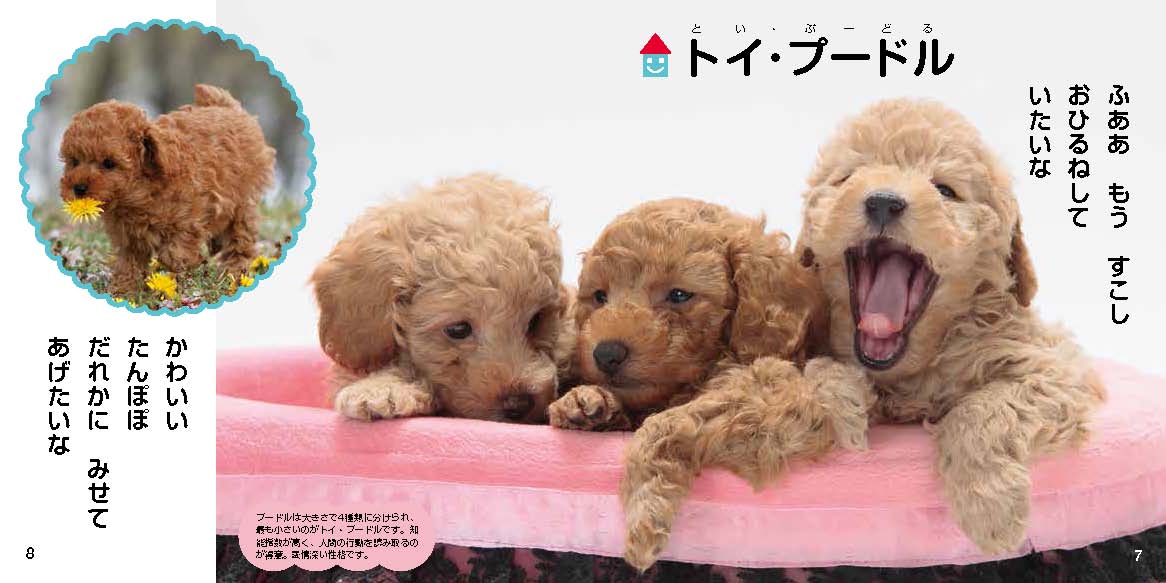 絵本「かわいいこいぬ」の中面4