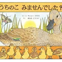 絵本「うちのこ みませんでした？」の表紙（サムネイル）