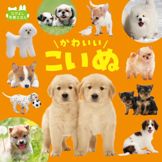 絵本「かわいいこいぬ」の表紙（中サイズ）