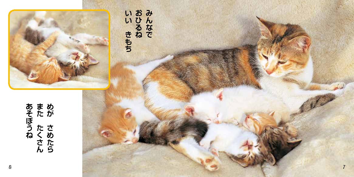 絵本「なかよし写真えほん かわいいこねこ」の一コマ4