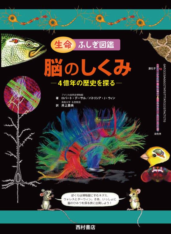 絵本「脳のしくみ ４億年の歴史を探る」の表紙（全体把握用）（中サイズ）