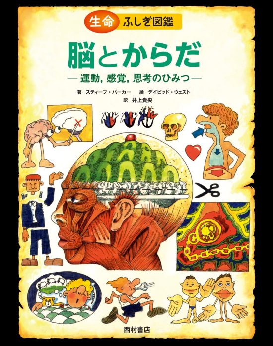 絵本「脳とからだ 運動、感覚、思考のひみつ」の表紙（全体把握用）（中サイズ）