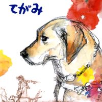 絵本「盲導犬フロックスのてがみ」の表紙（サムネイル）