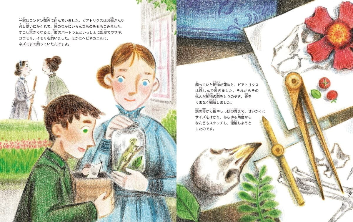 絵本「ビアトリクス・ポターの物語 キノコの研究からピーターラビットの世界へ」の一コマ2