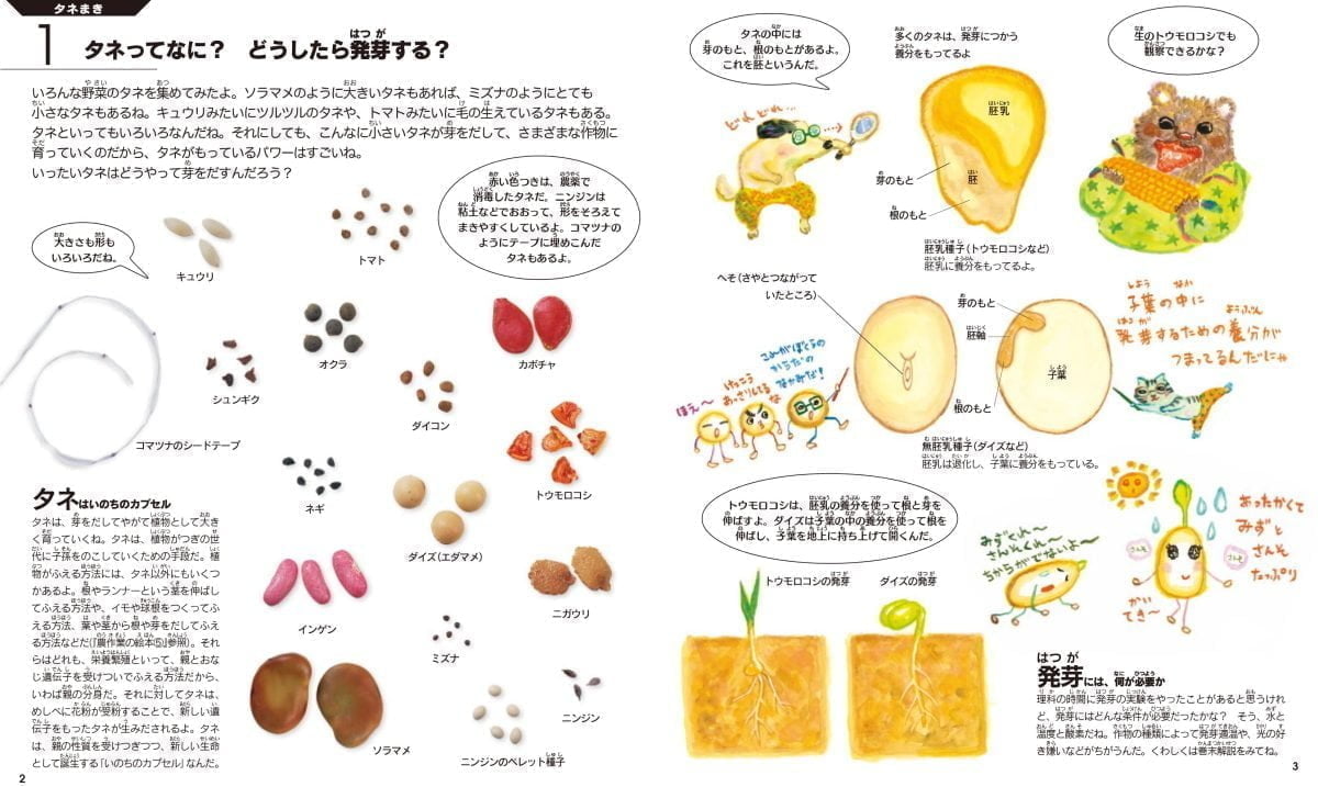 絵本「農作業の絵本2 タネまき・育苗・植えつけ」の一コマ2