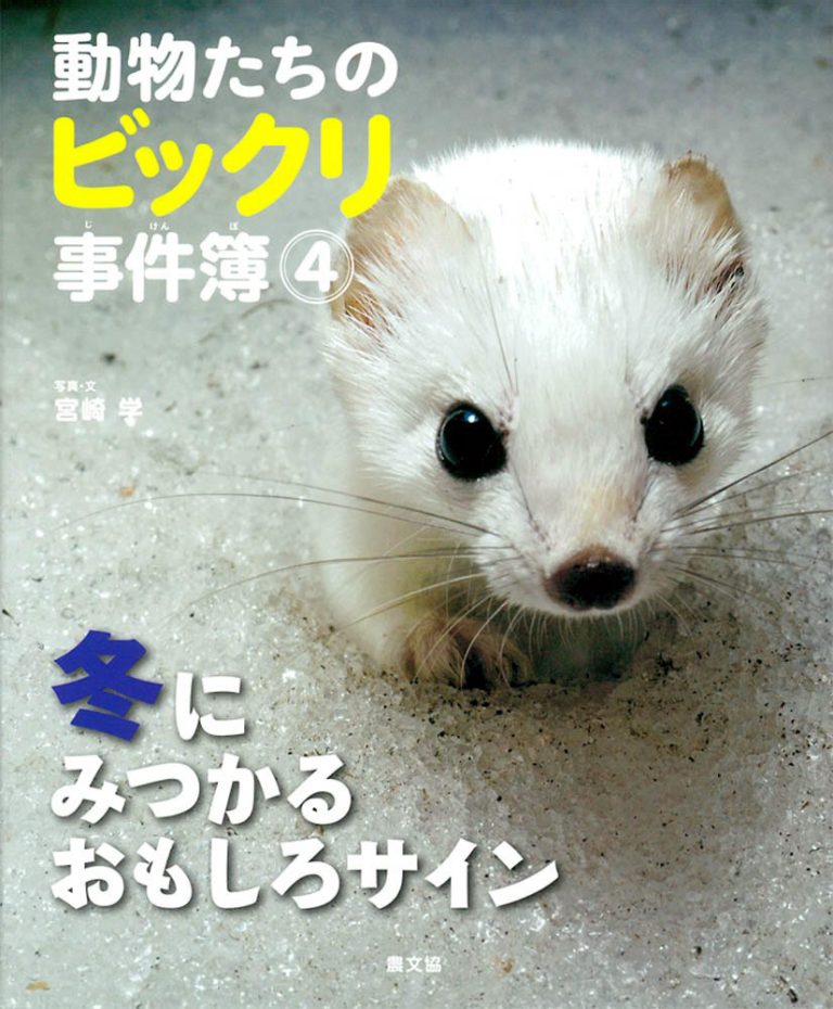 絵本「冬にみつかるおもしろサイン」の表紙（詳細確認用）（中サイズ）