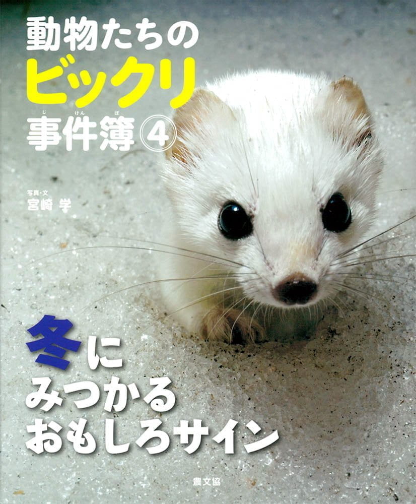 絵本「冬にみつかるおもしろサイン」の表紙（大サイズ）